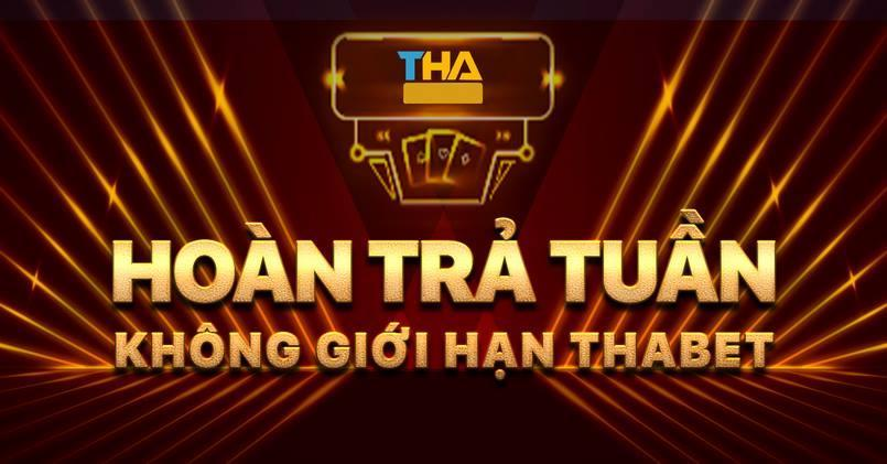 Những chương trình khuyến mãi hấp dẫn không thể bỏ lỡ tại THA